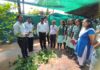 पटवर्धन हायस्कूलच्या विद्यार्थ्यांनी भाट्ये नारळ संशोधन केंद्रात घेतले कलम बांधणीचे धडे
