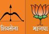 शिवसेना-भाजप युतीचाच विजय निश्चित