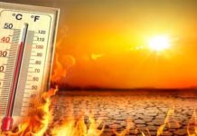 2023 हे वर्ष ठरलं पृथ्वीवरील आजवरचं सर्वांत उष्ण वर्ष; तर 2024 मध्ये…