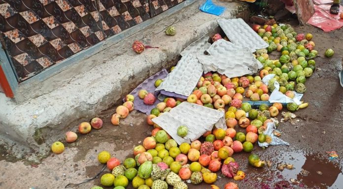 Malvan | फळ विक्रेत्याकडून फळांवर थुंकण्याचा प्रकार
