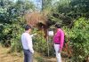 जि .प.मुख्य कार्यकारी अधिकाऱ्यांकडून वाटूळ- दाभोळ रस्त्यावरील झाडांची पाहणी