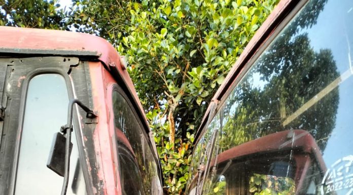 Devgad | एसटींची समोरासमोर धडक