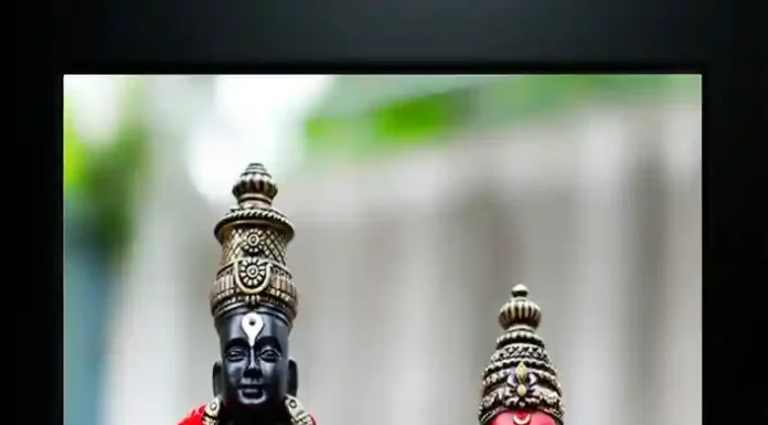 आषाढी वारीसाठी जाणाऱ्या विठ्ठल भक्तांना टोल फ्री प्रवास,शासनाचा उपक्रम