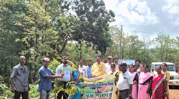 निगुंडळ ग्रामदेवता मंदिर परिसरात वृक्षलागवड करून जागतिक पर्यावरण दिन साजरा