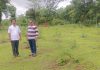 वर्गणी काढून निवळीमध्ये उभी राहतेय ‘देवराई’