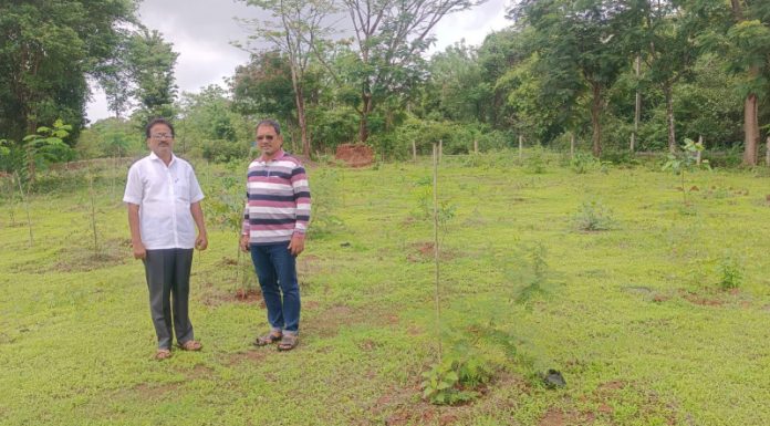 वर्गणी काढून निवळीमध्ये उभी राहतेय ‘देवराई’