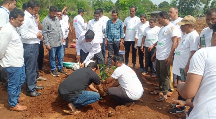 कळंबस्ते येथे पशुसंवर्धनच्या साडेतीन एकर पडीक जागेत देवराई