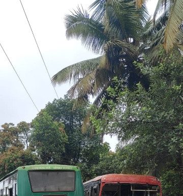 Breaking: काळबादेवी नवानगर येथे दोन एसटी बसची समोरासमोर धडक