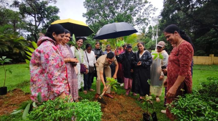 घे भरारी फाउंडेशनच्यावतीने वृक्षारोपण