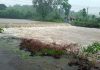 कापसाळ येथील पुलावरून पाणी; तीन वाड्यांचा संपर्क तुटला