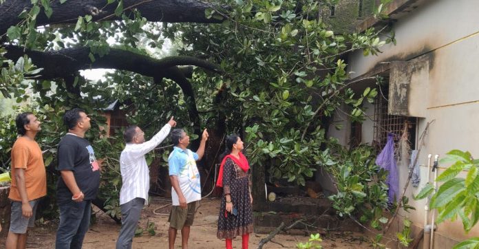 आचरा पिरावाडी येथे घरावर झाड पडून नुकसान
