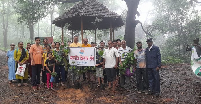 मनुष्य-वन्यजीव संघर्ष टाळण्यासाठी सावंतवाडीत बीजारोपण व वृक्षारोपण अभियान