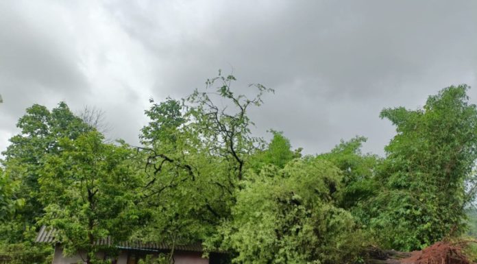 वैभववाडीत अतिवृष्टीचा अनेक घरांना फटका