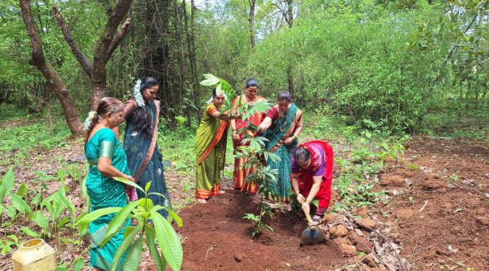 वटपौर्णिमेनिमित्त महिलांनी अंगीकारले एक रोप दोन खड्डे व्रत