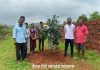 वेरळ येथे हवामान अनुकूल शेतीचा आदर्श नमुना