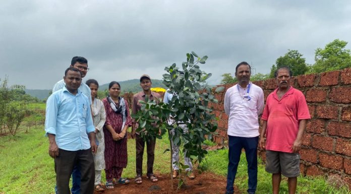 वेरळ येथे हवामान अनुकूल शेतीचा आदर्श नमुना