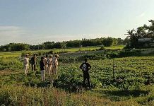 अंधश्रद्धेतून कुटुंबाची हत्या; जादू-टोण्याच्या संशयातून ५ जणांना जाळले!