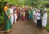 आषाढी एकादशीनिमित्त आशिये प्राथमिक शाळेत ग्रंथदिंडी उपक्रम संपन्न