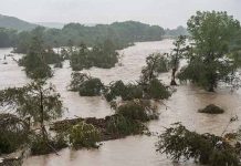 अमेरिकेतील टेक्सासमध्ये महापुर; ८१ जणांचा मृत्यू, ४१ जण बेपत्ता