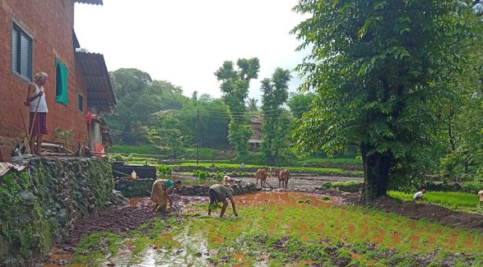 धामणदेवी रेल्वे ट्रॅकवर आढळला अनोळखी पुरुषाचा मृतदेह !