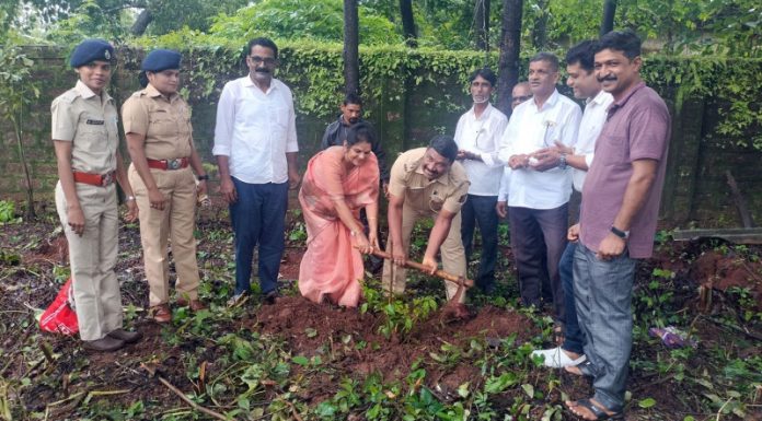 माजी सभापती पूजा निकम, उपविभागीय पोलीस अधिकारी राजमाने यांच्या वाढदिवसानिमित्त वृक्षारोपणाचा स्तुत्य उपक्रम