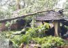 चिंदर लब्देवाडी येथे घरावर झाड पडून नुकसान
