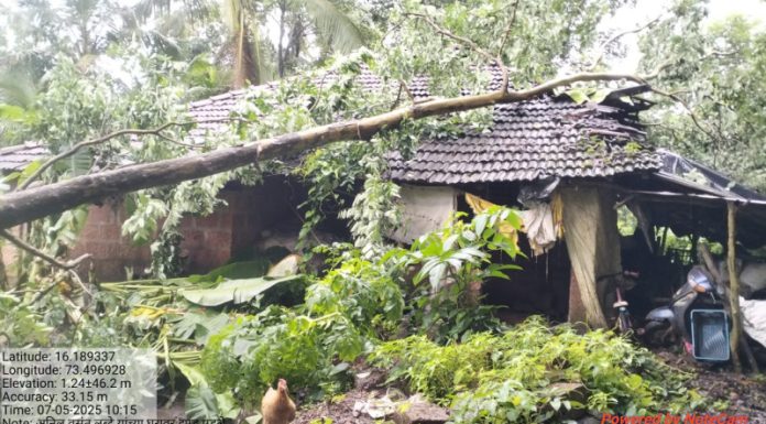 चिंदर लब्देवाडी येथे घरावर झाड पडून नुकसान