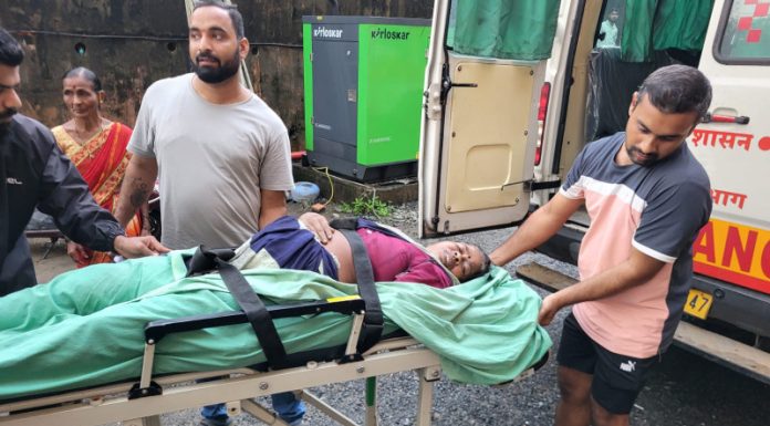 सांगेलीत बैलाच्या हल्ल्यात महिला जखमी