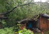 तोरसोळे येथे गुरांच्या गोठ्यावर झाड पडून सुमारे ४० हजाराचे नुकसान