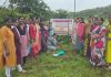 राजापूर महिला नागरी सहकारी पतसंस्थेकडून रौप्यमहोत्सवी वर्षानिमित्त वृक्षारोपण कार्यक्रम