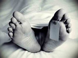 दापोलीत साप चावल्याने ४९ वर्षीय महिलेचा दुर्दैवी मृत्यू;