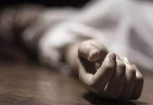 राजापूरमधील महिलेला सर्पदंश; रत्नागिरीत उपचारादरम्यान मृत्यू