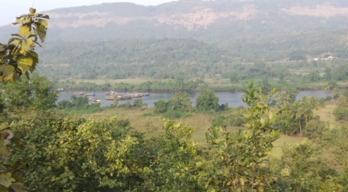 तुंबाड-अंजनी नदीवर पुल व्हावा; पंचक्रोशीतील ग्रामस्थांच्या दळणवळणाचा प्रश्न मार्गी लागेल!