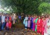 आंबडस विद्यालयात वृक्ष रक्षाबंधन