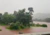 चिपळूण : कोळके वाडी धरण updates @10:30 AM