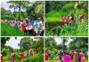 तवसाळ तांबडवाडी मध्ये गवराई ढोल ताशांच्या गजरात आगमन