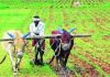ॲग्रीस्टॅक योजनेत शेतकऱ्यांनी फार्मर आयडी काढून कृषि विभागाच्या विविध योजनांचा लाभ घ्यावा