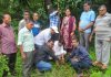 सेवा पंधरवडानिमित्त रामेश्वर मंदिर येथे वृक्षारोपण कार्यक्रम
