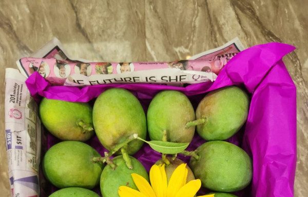 दिवाळीच्या मुहूर्तावर देवगडहून हापूसची पहिली पेटी वाशीला रवाना