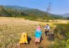 हत्तीच्या भीतीने हेवाळे वीजघर येथे शेती कामाची ‘लगिन घाई’