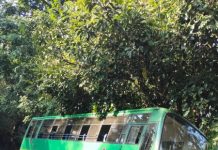 रत्नागिरी-पोमेंडी रस्त्यावर एसटी बसचा अपघात; सुदैवाने प्रवासी सुरक्षित!