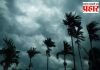Maharashtra Weather Update : महाराष्ट्रात थंडीची लाट; कोणत्या शहरांमध्ये गारठा वाढणार? हवामान विभागाचा ताजा अंदाज!