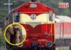 Rajdhani Express Accident : आसाममध्ये काळजाचा थरकाप! राजधानी एक्सप्रेसची हत्तींच्या कळपाला धडक, ८ हत्तीचं जागीच दुर्दैवी मृत्यू