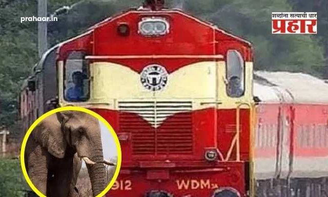 Rajdhani Express Accident : आसाममध्ये काळजाचा थरकाप! राजधानी एक्सप्रेसची हत्तींच्या कळपाला धडक, ८ हत्तीचं जागीच दुर्दैवी मृत्यू