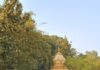 वाडा-कसबेवाडी येथे श्री साईनाथ मंदिराचा ३६ वा वर्धापन दिन सोहळा उत्साहात साजरा होणार