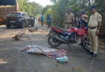राजापूर Breaking : रायपाटण येथे भीषण अपघात; दुचाकीवरून खाली पडून महिलेच्या डोक्यावरून गेले चाक, जागीच मृत्यू