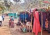 ४५० वर्षांची परंपरा जपणारी शिराळे गावची ‘गावपळण’सुरू