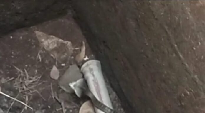 टाकीत अडकलेल्या चार सापांना वर्ल्ड फॉर नेचरच्या बचाव पथकाने दिले जिवदान