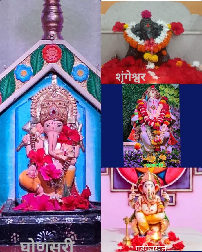 WhatsApp Image 2026-01-20 at 1.41.01 PM