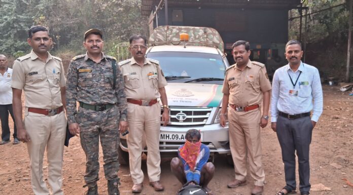 खेड तालुक्यात रानडुकराच्या शिकारीप्रकरणी वनविभागाची मोठी कारवाई; एक आरोपी अटकेत